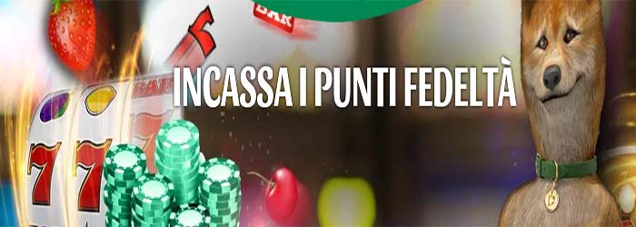 Dingo incassa i punti fedeltà