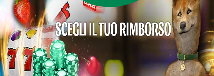 dingo scegli il tuo rimborso